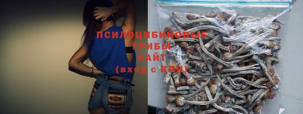 стаф Беломорск