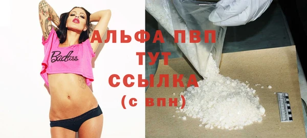 стаф Беломорск