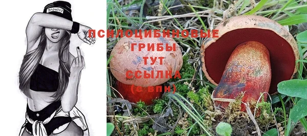 2c-b Белокуриха