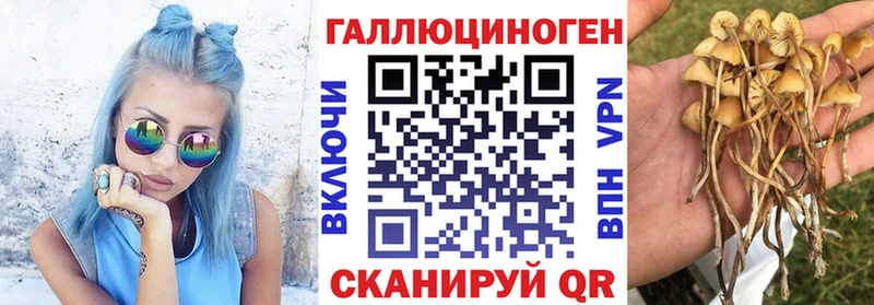 Галлюциногенные грибы Psilocybine cubensis  Купить закладки  Островной 